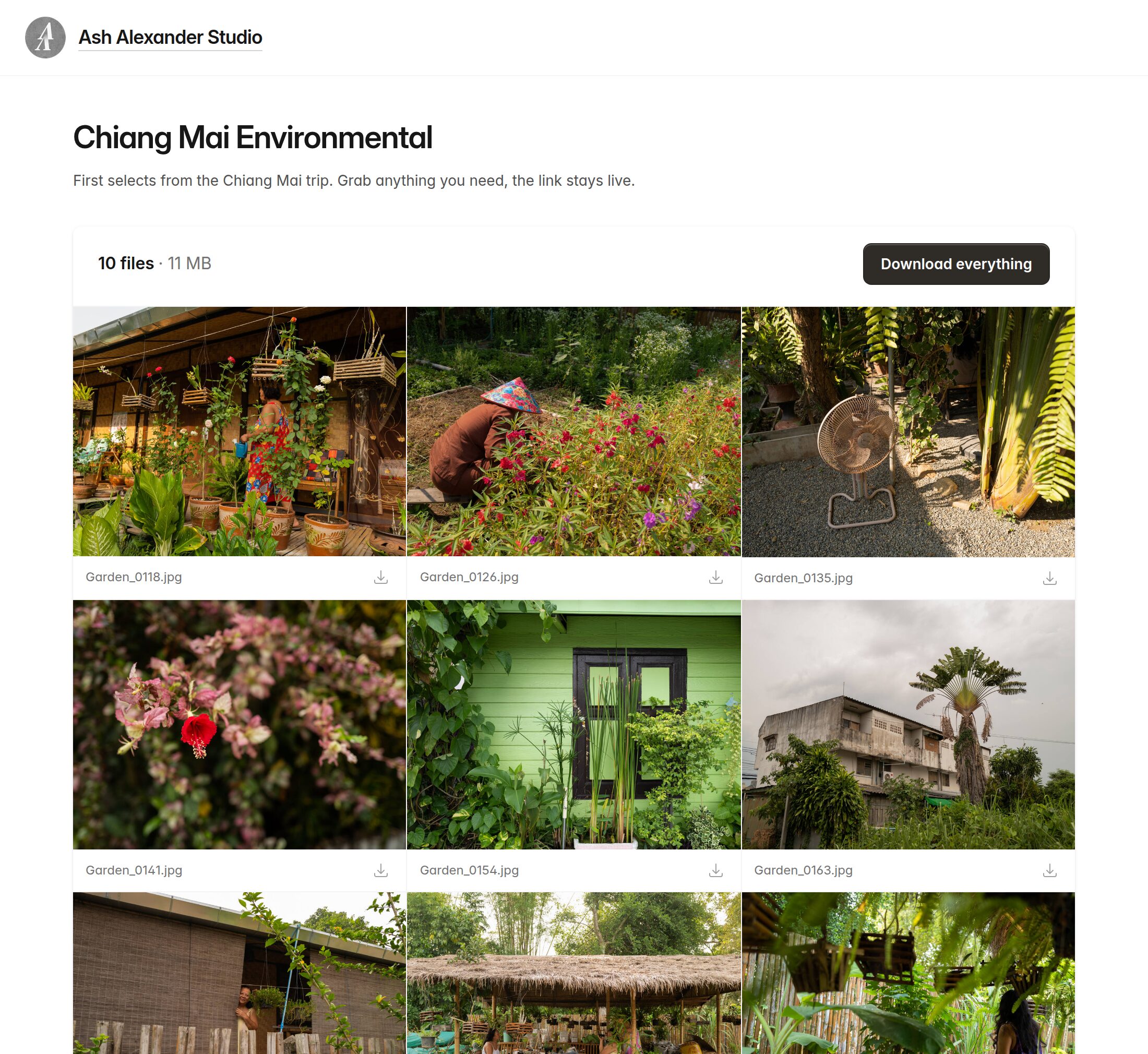 A photographer's gallery page carrying their own monogram and studio name, showing ten photographs from a Chiang Mai shoot and a Download everything button